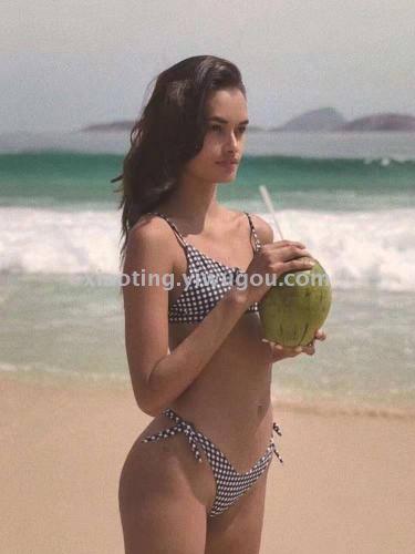 bikini foreign trade new sexy plaid printed triangle women‘s split swimsuit nylon quality manufacturer direct sales