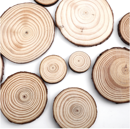 round wood slices pine slices diy creative handmade materials kindergarten raw wood slices painting decoration accessories materials
