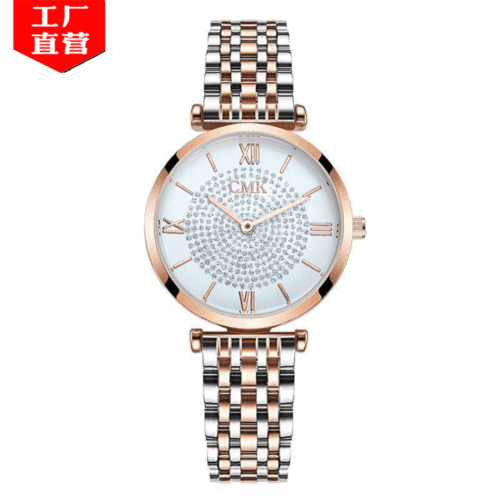 Best-Seller on Douyin Roman Diamond Fashion Watch Wholesale WeChat Alloy Steel Belt Watch Female Gypsophila Watch