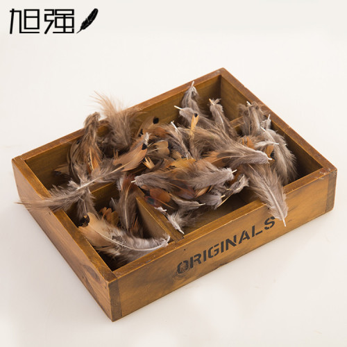 Direct Selling DIY Pheasant Gcows590.e37 Feather High Quality Natural Color Pheasant Feather Handmade Ornament Feather Ornaments Wholesale