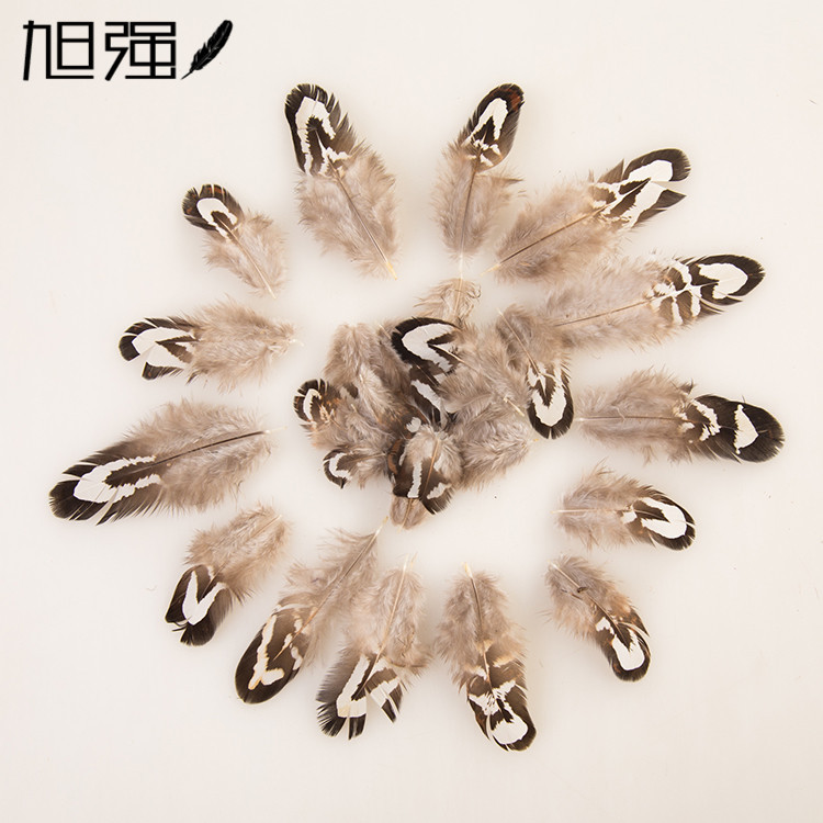 直销天然野鸡尾 高质量舞台京剧翎子羽毛 派对服装装饰山鸡毛辅料