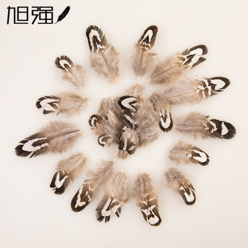 Direct Selling Natural Pheasant Tail High Quality Stage Peking Opera Raccoon Feather Party Clothing Decoration Chicken Feather Accessories