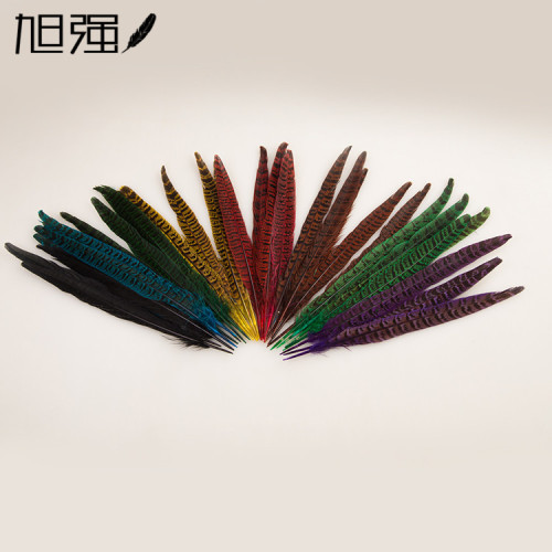 factory direct sales spot supply colorful pheasant feather 30-35cm wild bird feather decoration accessories