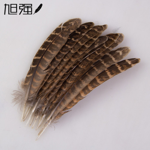 manufacturer direct wholesale pheasant feather natural pheasant tail golden pheasant tail crafts diy ornament multi-color optional