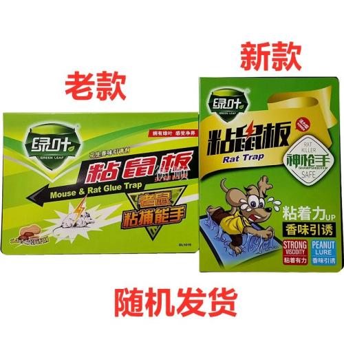 Authentic Green Leaf Gl1019 Mouse Sticker Glue Mouse Traps Mouse Trap Sticker Rat Trap Mouse Glue Home Indoor