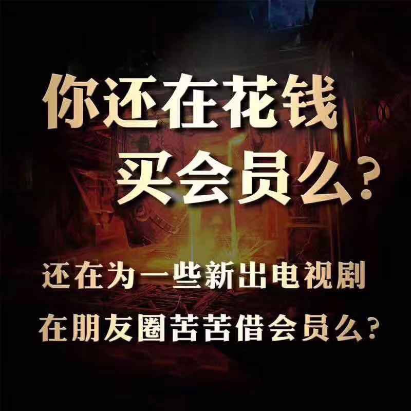 影视会员招代理yst254