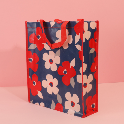2020 New-Environmental Color Printing Laminated Non-Woven Bag， Shopping Bag