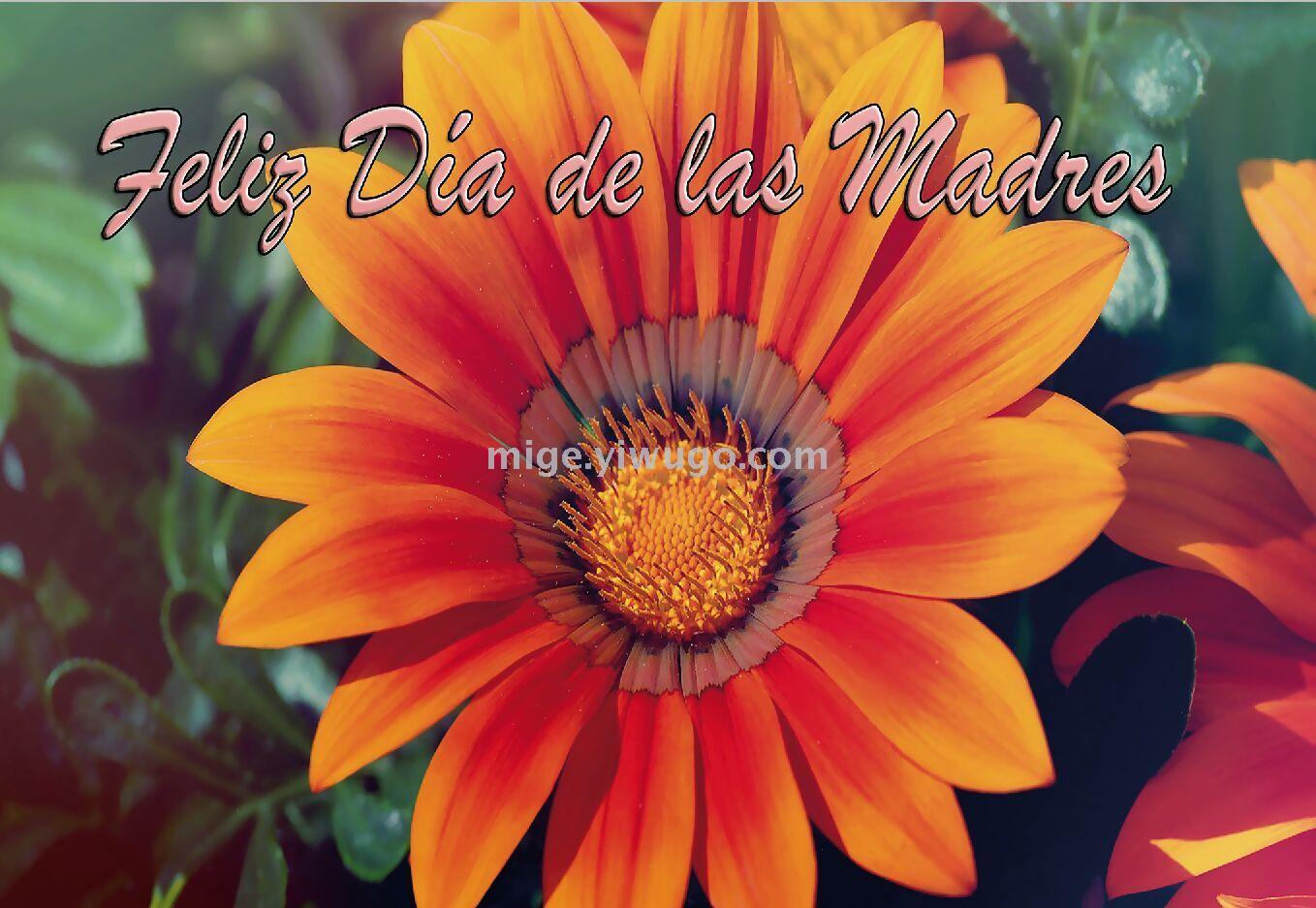 母亲节三维立体画片