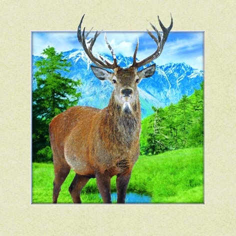 现代客厅装饰画沙发麋鹿轻奢三联装饰画水晶画挂画5D超高清立体画