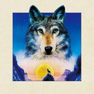 玄关画装饰画客厅立体抽象实物画5D超高清立体画40X40