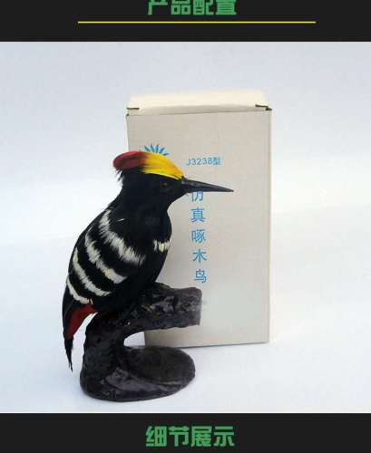 Woodpecker Simulation Model Natural Feather Making Biological Teaching Demonstration Equipment for Primary and Secondary School Students