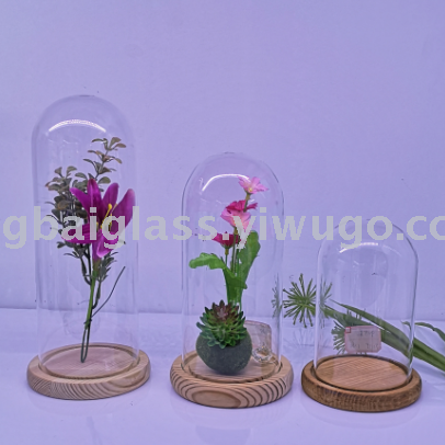 Glass Micro Landscape Cover， Preserved Fresh Flower Cover， Glass Cake Plate， Glass Cover