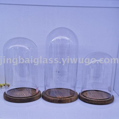 eternal flower glass cover succulent plant dust cover decoration micro landscape glass crafts diy glass bottle