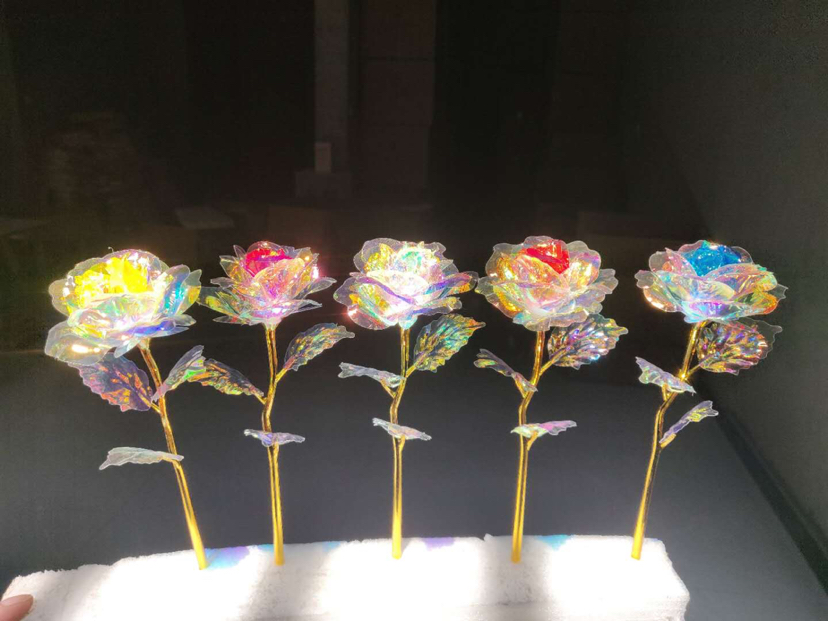 彩金玫瑰花花