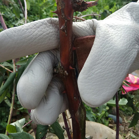 cowhide gardening gloves thorn-proof rose cactus ball pick chestnut thickened flower fruit tree fruit anti-tie pruning