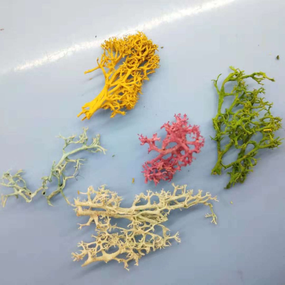 苔藓永生植物首饰头饰配件电子商务淘宝销售