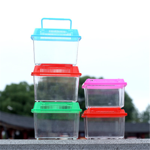 Stall Portable Plastic Box Turtle Bottle Transparent Small Bottle with Lid Color Aquarium Small Fish Tank Factory Direct Sales