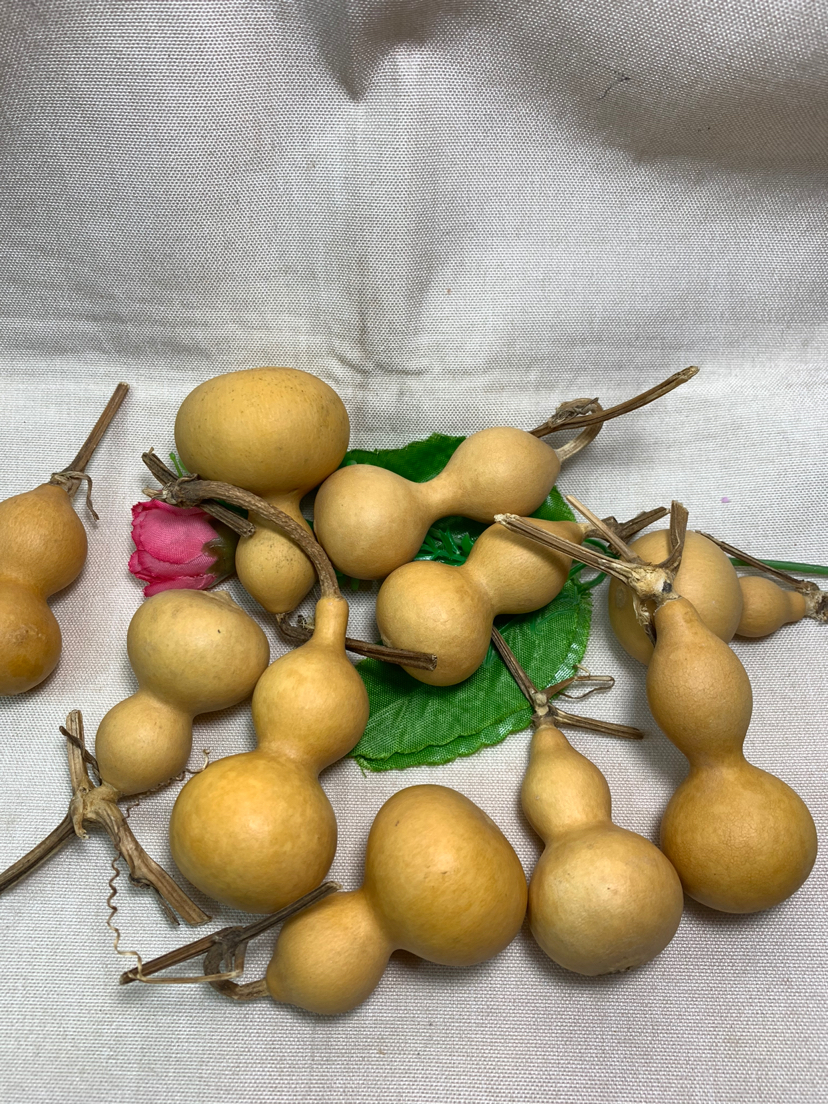 文玩天生葫芦佛珠手链饰品礼品