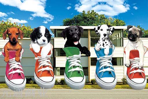 装饰画，三维立体画