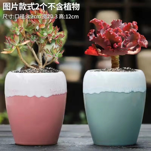 creative fresh succulent flower pot office home boutique ceramic craft decoration small flower pot