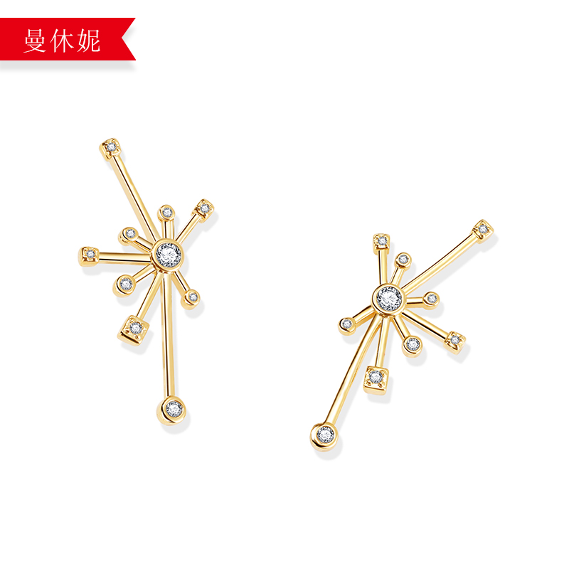 夸张花朵镀真金925银防过敏耳环耳坠厂家直销批发韩版耳饰品新款