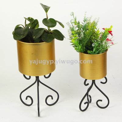 Put a decorative flower pot for tieyi household articles