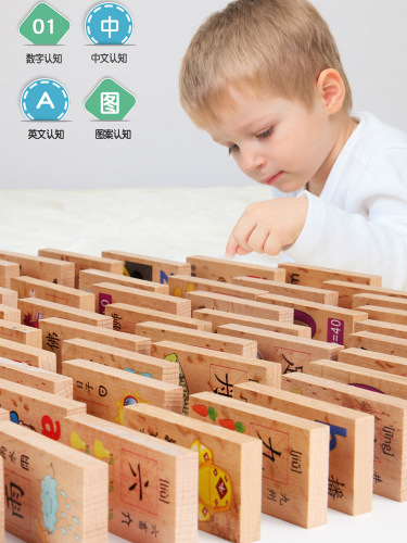 beech dominoes literacy chinese characters children‘s educational toys figures 4-5 baby early education 3-6 years old building blocks