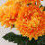 Simulation Chrysanthemum Single Stem Pineapple Chrysanthemum Marigold Indoor Silk Flower Art Flower Arrangement Home Decoration Dali Chrysanthemum