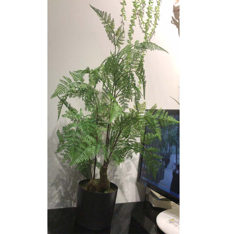 工厂店北欧风植物盆栽蕨类树仿真高仿蕨树马尾蕨植物盆栽装饰盆景