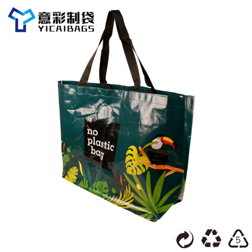 Fashion and Environment-Friendly Color Printing Film Woven Cloth Shopping Bag， Gift Bag