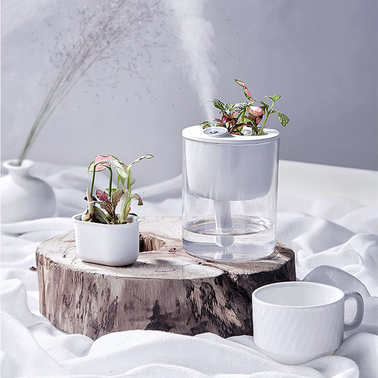 DIY微景观桌面多肉绿植盆栽空气净化补水USB加湿器