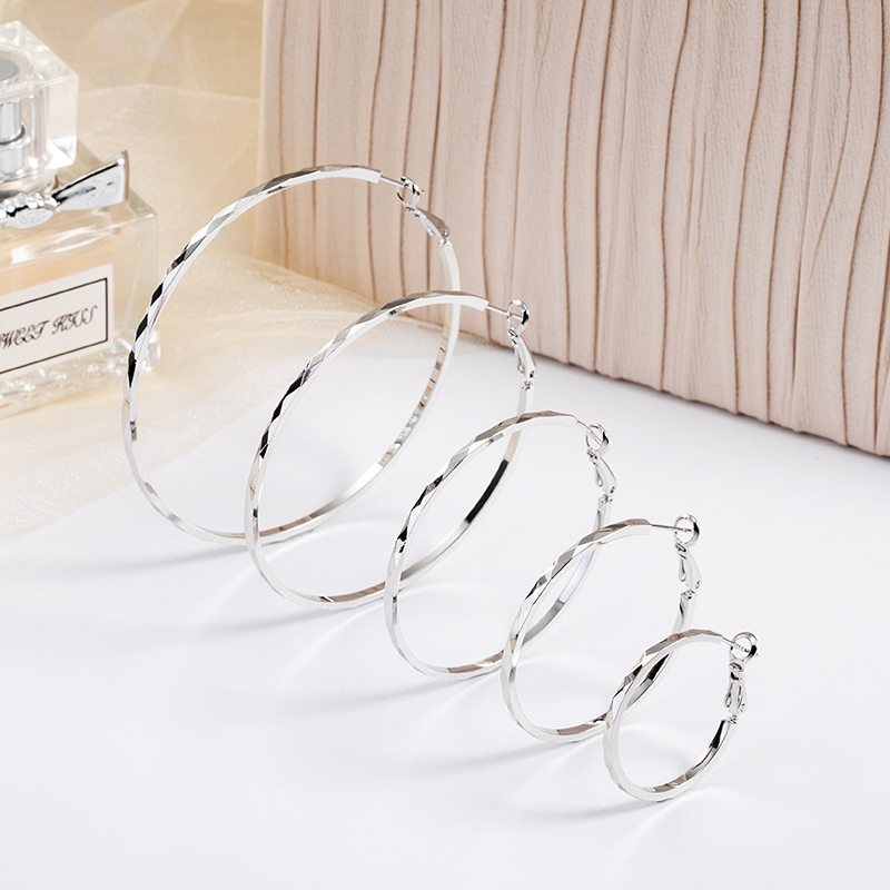 925银针韩版大耳圈新款圆耳环气质圈圈网红耳钉厂家直销批发耳坠