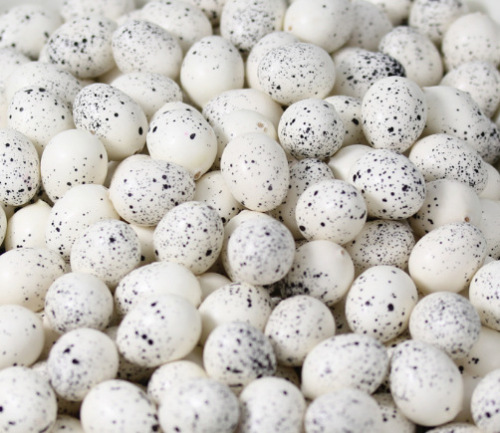 This Factory Supplies a Series of Products Such as Simulation Bird Eggs/Simulation Foam Egg/Bird Nest/Simulation Rattan Nest.
