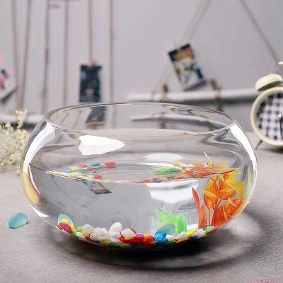 Transparent Glass Drum Cylinder Large Ecological round Glass Goldfish Turtle Jar Mini Small Landscape Hydroponic Vase