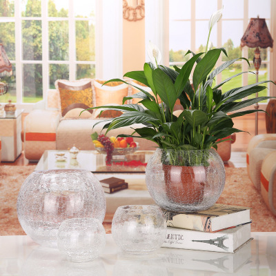 Large Glass Vase round Hydroponic Decoration Simple Modern Flower Arrangement Decoration Creative Transparent Floor Vase