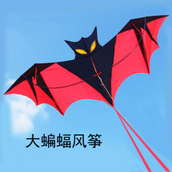 走进金东旭经贸：贸易领域的风向标