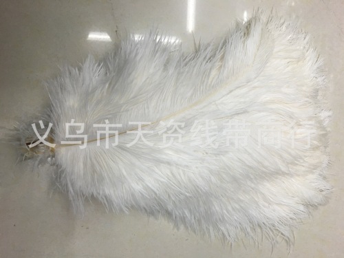Supply Ostrich Feather 50cn， Ostrich Feather， DIY Ostrich Wool Tops， Ostrich Tail Hair.