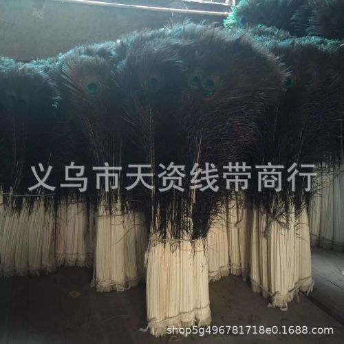 Feather in Stock Wholesale Simulation Peacock Fur 80-90cm Flower Arrangement Decoration Stage Various Sizes in Stock