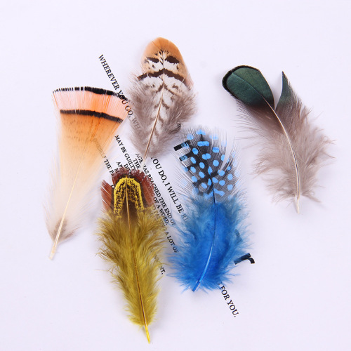 Factory Direct Sales Pearl Chicken Feather Colorful Feather Clothing DIY Handmade Crafts Ornament Earring Material Pheasant Feather