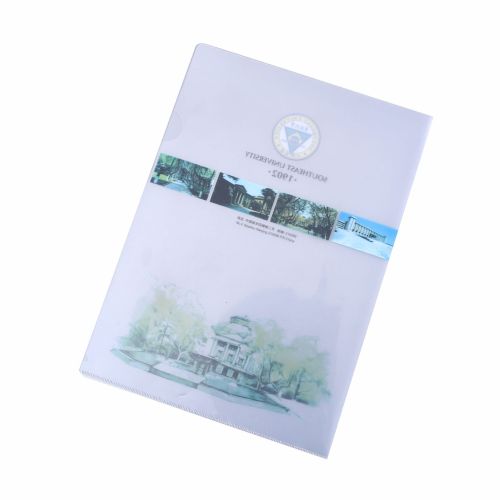 L Folder Customizable Transparent A4 File Bag Color File Bag Plastic Two-Piece Folder Manufacturer Printed Logo