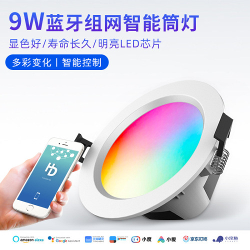 New 9W Bluetooth Smart Downlight Dimming Downlight Rgbwc Electrodeless Dimming Group Control Factory Direct Supply