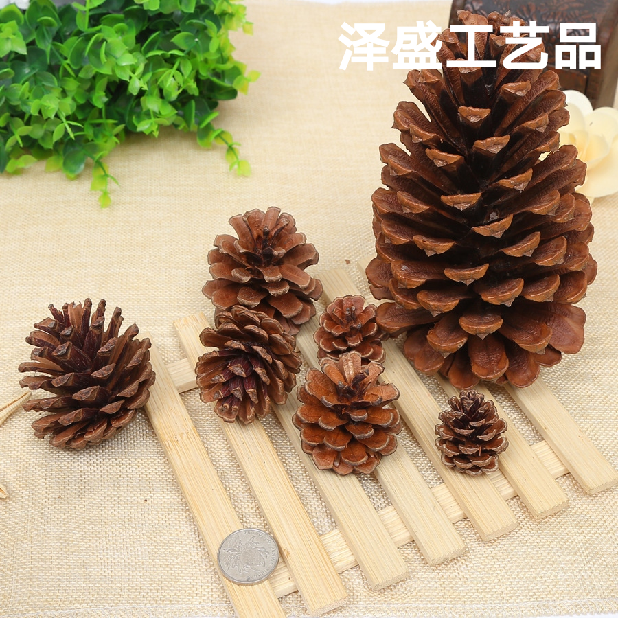 1-18CM松果圣诞装饰品挂件创意摆件拍摄道具干花松塔油松批发
