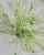 Simulation Green Plant Leaves Aquatic Plants Rhizoma Prisma Leaf Green Ribbon Flowers and Plants Landscape Museum Engineering Materials Factory Wholesale