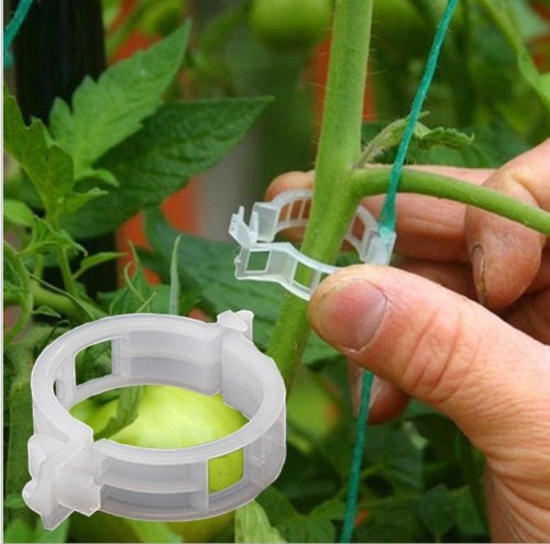plant clip/cantaloupe clip/plastic tie vine clip/branch binding clip/vine hanging clip/vine holding clip/vine fixing clip