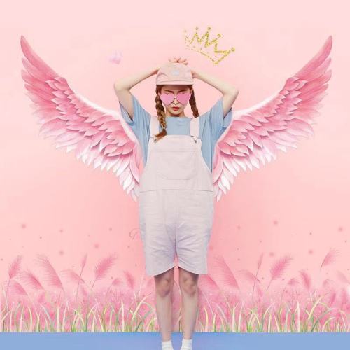 Internet Celebrity Angel Wings Stickers Decorative Small Pattern Room Bedroom Wall Layout Wall Stickers Ins Bedside Background Wall