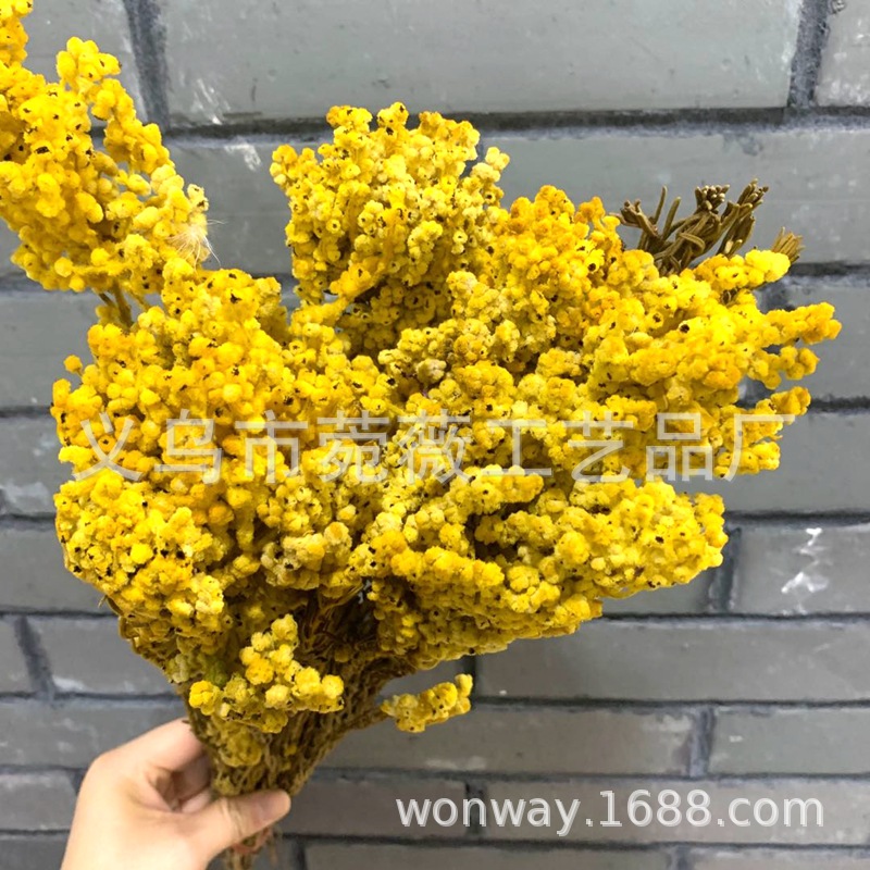 天然植物永生保鲜玫瑰配草 米西露 插花 浮游瓶 工艺品