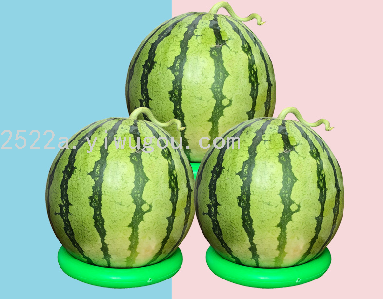 西瓜防滑圈 西瓜摆放圈 球类摆放底座