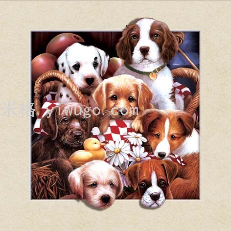 5D画 热销 40*40cm 立体画片 儿童 宠物狗