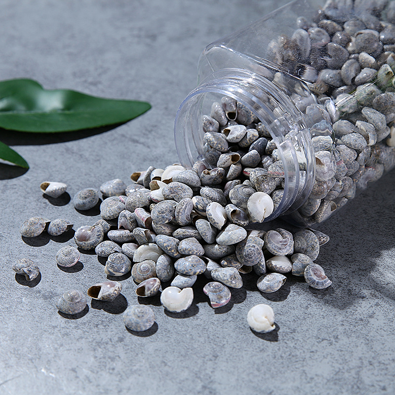 厂家直销小蜗牛螺装饰摆件手工艺品原料1-2cm漂流瓶小贝壳海螺