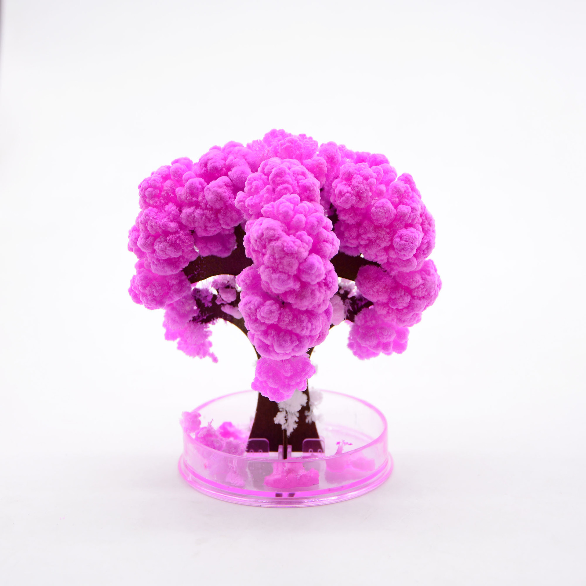 厂家直供经典怀旧DIY 科教实验纸树开花樱花树七彩结晶魔法圣诞树